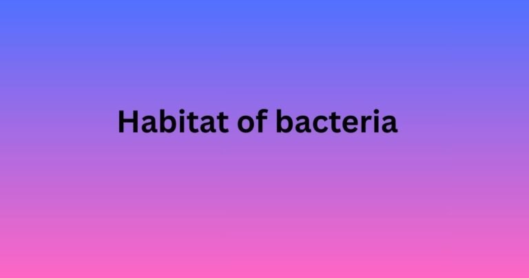 Habitat of bacteria