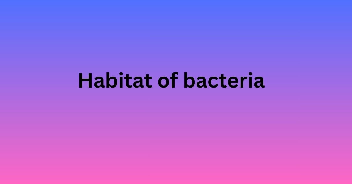 Habitat of bacteria